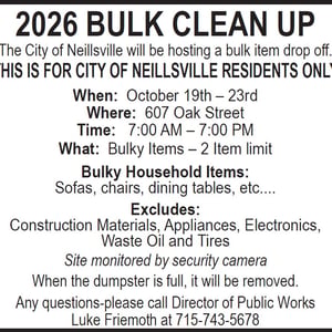 BULK CLEAN UP
